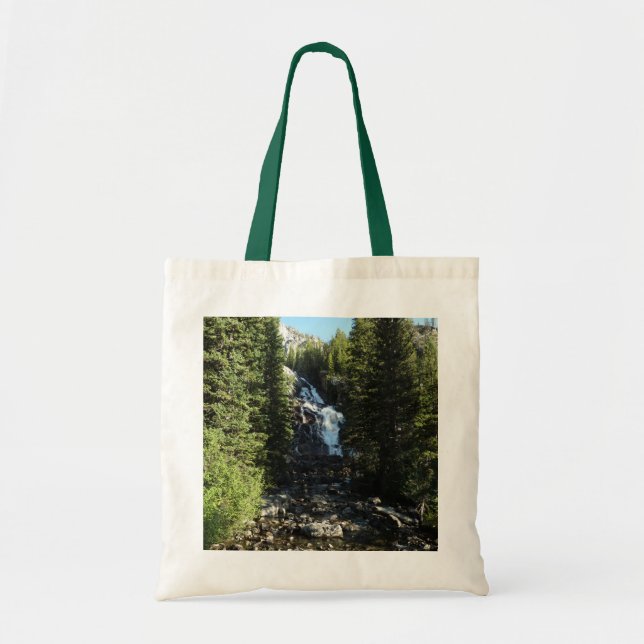 Hidden Falls in Grand Teton National Park Tote Bag (Front)