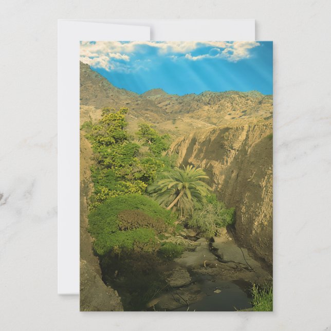 Hidden oasis  holiday card (Front)