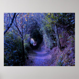 Hidden Path Poster