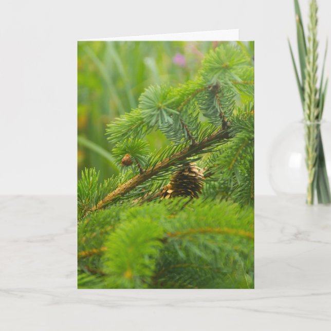 Hidden Pine Cone Greeting Card (Front)
