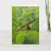 Hidden Pine Cone Greeting Card