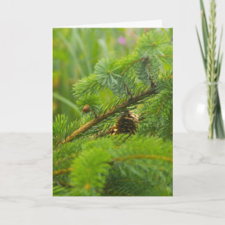 Hidden Pine Cone Greeting Card