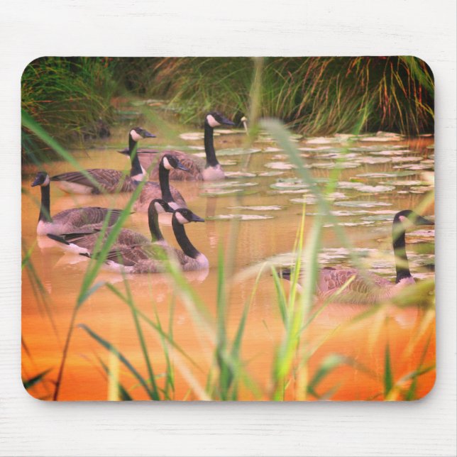 Hidden Serenity Canada Geese Nature  Mouse Mat (Front)