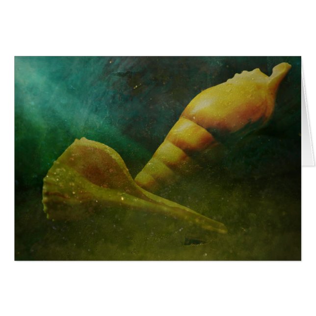 Hidden Soul Beneath (Front Horizontal)