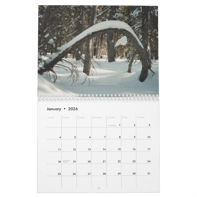 Hidden Treasures 2011 Calendar (Jan 2026)