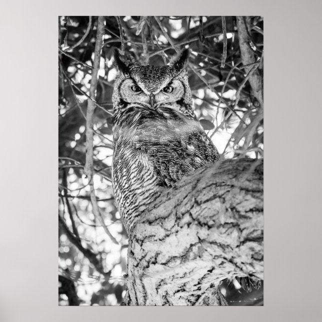 Hidden Watcher [black and white] Poster (Front)