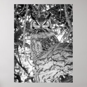 Hidden Watcher [black and white] Poster