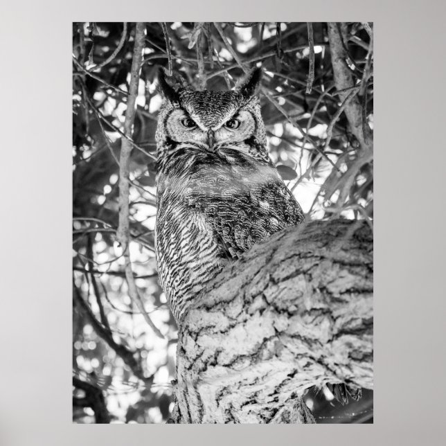 Hidden Watcher [black and white] Poster (Front)