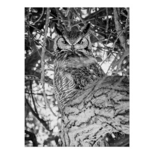 Hidden Watcher [black and white] Poster