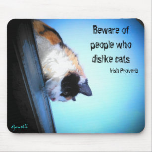 Hidding from haters Irish Proverb Mouse Mat
