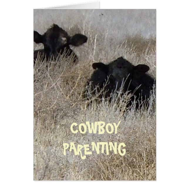 Hide and Go Seek - Cowboy Parenting (Front)