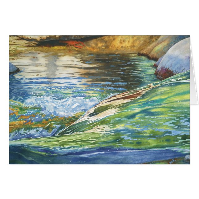 Hide and Seek (Front Horizontal)