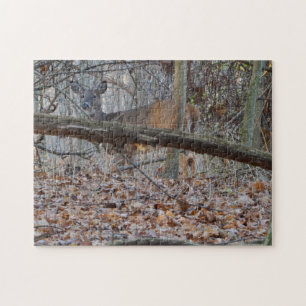 HIDE AND SEEK JIGSAW PUZZLE