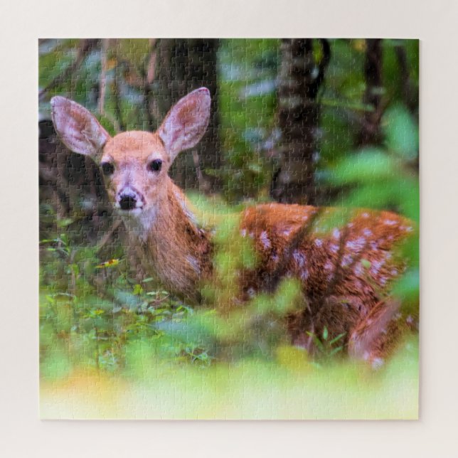 Hide and Seek With a Spotted Fawn - 20x20 inch Jigsaw Puzzle (Vertical)
