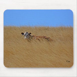 hide & seek mouse mat