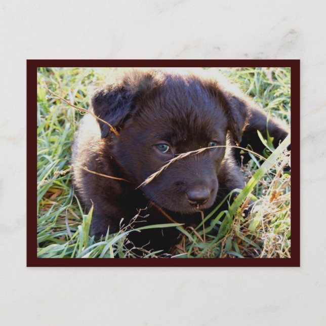 Hide & Seek Postcards (Front)