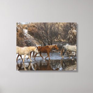 Hideout Horse Ranch Canvas Print