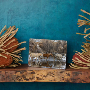 Hideout Horse Ranch Plaque