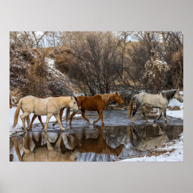 Hideout Horse Ranch Poster (Front)