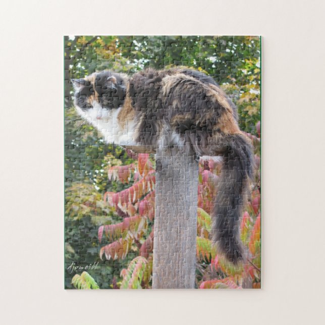 Hiding from rocking chairs jigsaw puzzle (Vertical)