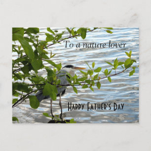 Hiding Heron! Postcard