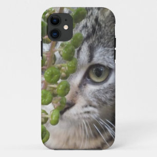 Hiding Kitten EYE-Phone 5 Case