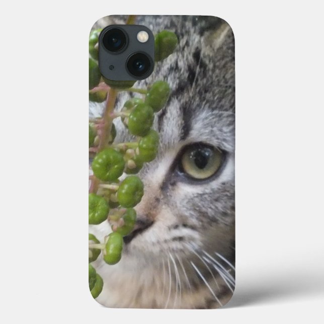 Hiding Kitten EYE-Phone iPad Mini Case (Back)
