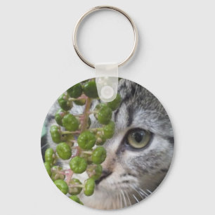 Hiding Kitten Keychain