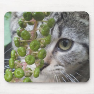 Hiding Kitten Mouse Mat