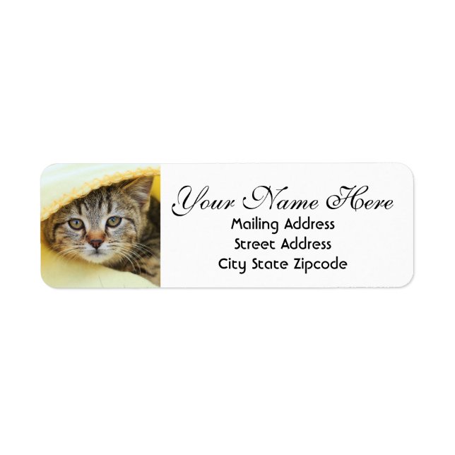Hiding Kitten Return Address (Front)