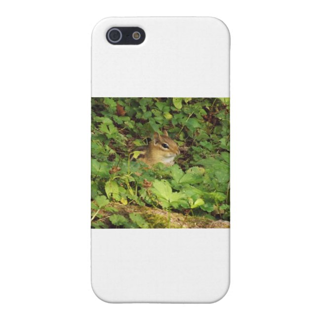 Hiding Place iPhone Case (Back)