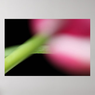 Hiding Poster