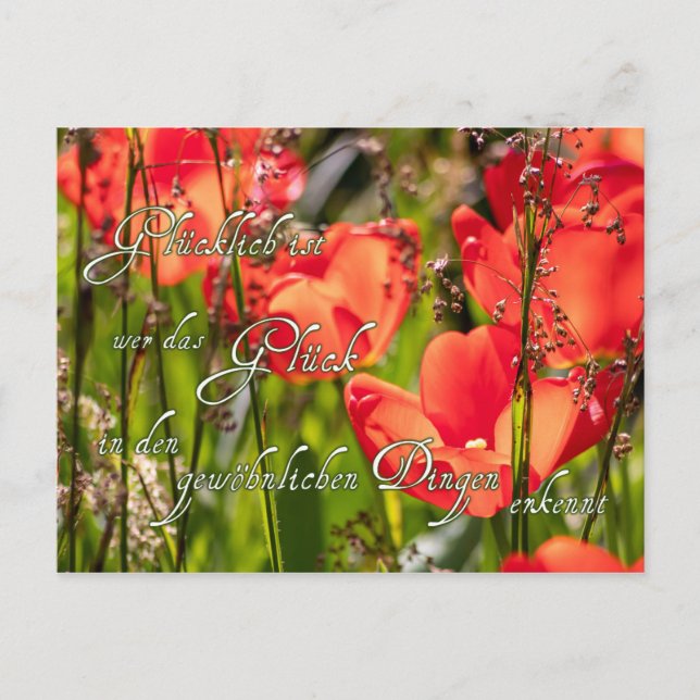 Hier kommt ganz viel Glück für Dich! Postcard (Front)