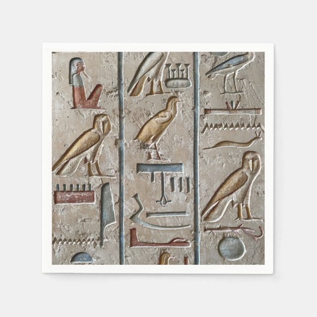 Hieroglyph Ancient Egypt Language Engraved Text    Napkin (Front)