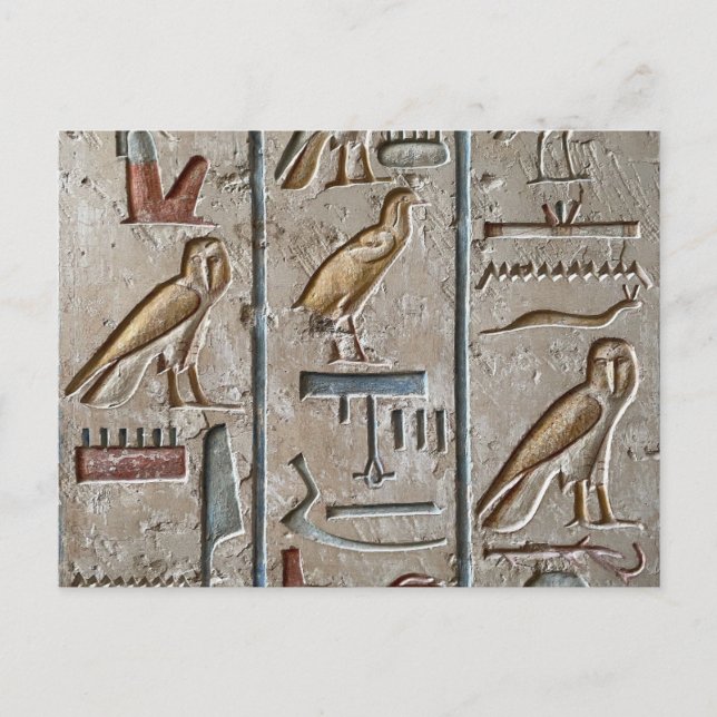Hieroglyph Ancient Egypt Language Engraved Text    Postcard (Front)