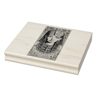 Hieroglyphic History Rubber Stamp