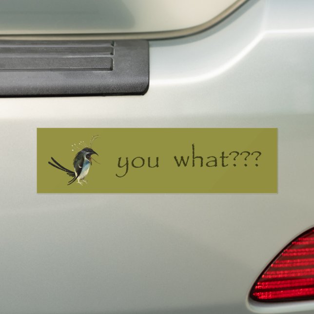 Hieronymus Bosch's Bird Bumper Sticker (On Car)