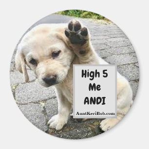 High 5 Me Andi Puppy Magnet