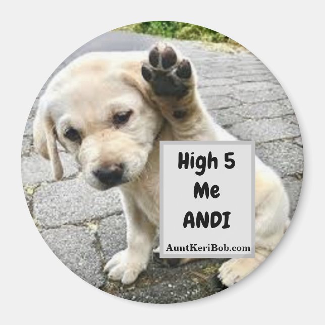 High 5 Me Andi Puppy Magnet (Front)