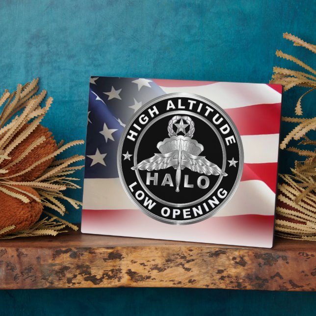 High Altitude Low Opening (HALO) Wings Plaque (Side)