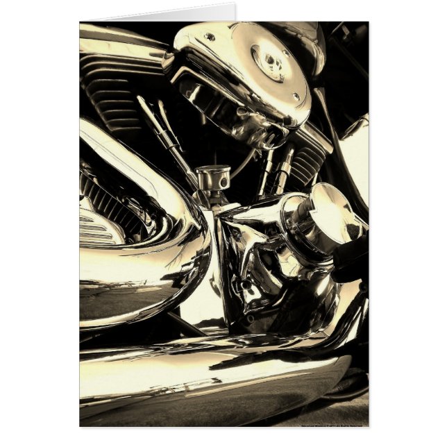 High and Mighty (Front)