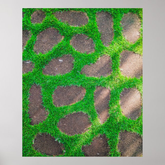 High angle photography of grass field poster (Front)