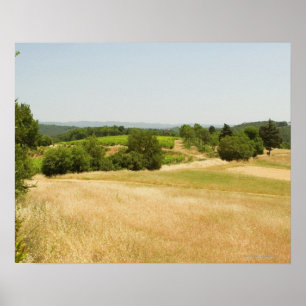 High angle view of a field, Siena Province, 2 Poster