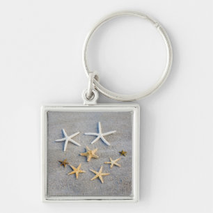 High angle view of a starfish on the beach key ring