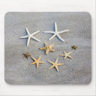 High angle view of a starfish on the beach mouse mat