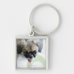 High angle view of an Eskimo Dog Key Ring