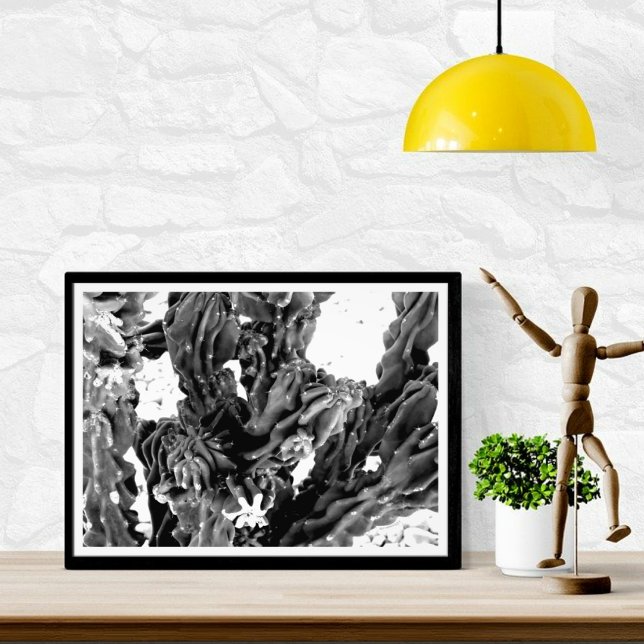 High Contrast Cactus Photo // Black and White (Creator Uploaded)
