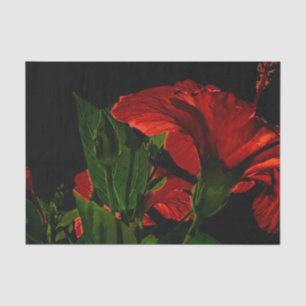 High Contrast Hibiscus Flower Photo Illustration Tissue Paper