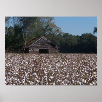 High Cotton Poster