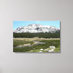 High Country Mountain Stream Canvas Print